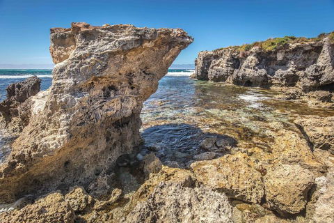 Hanson Bay Wildlife Sanctuary And Cabins - Surfers Paradise Gold Coast 2