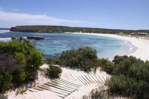 Hanson Bay Wildlife Sanctuary And Cabins - Surfers Paradise Gold Coast 1