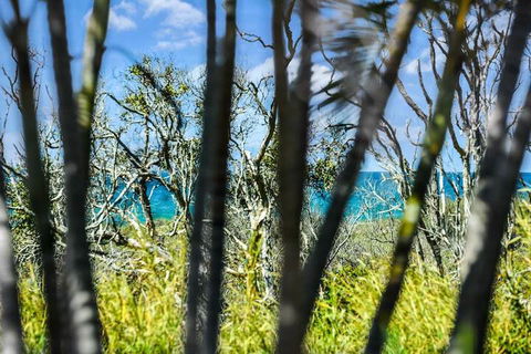 Nobs -1/44 Peregian Esplanade - Surfers Paradise Gold Coast 1