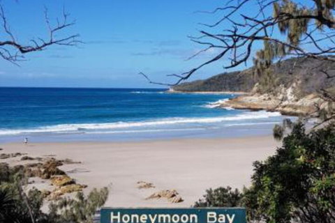 The Boarding House - Surfers Paradise Gold Coast 4