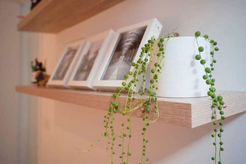 Trendy Modern 2BD Apartment Close To Beach & City - Surfers Paradise Gold Coast 3