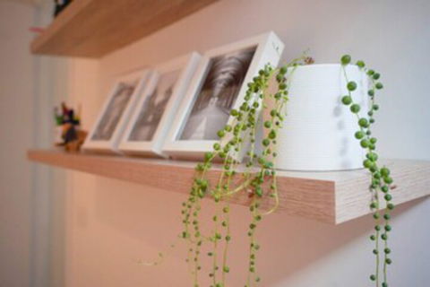 Trendy Modern 2BD Apartment Close To Beach & City - Surfers Paradise Gold Coast 0