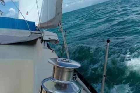 Casual Fare Sailing Charters Townsville Ocean Living Cruise - Surfers Paradise Gold Coast 2