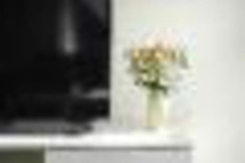 TWIG CBD Water Views - Surfers Paradise Gold Coast 6
