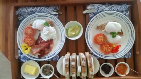 Beezneez B & B - Surfers Paradise Gold Coast 1