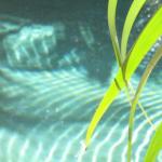 Artizen - Surfers Paradise Gold Coast 0