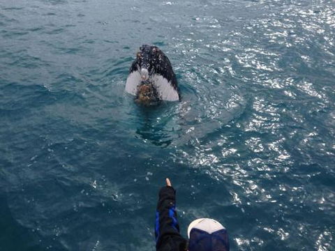 Number 72 Kalbarri Beach Resort - Surfers Paradise Gold Coast 0