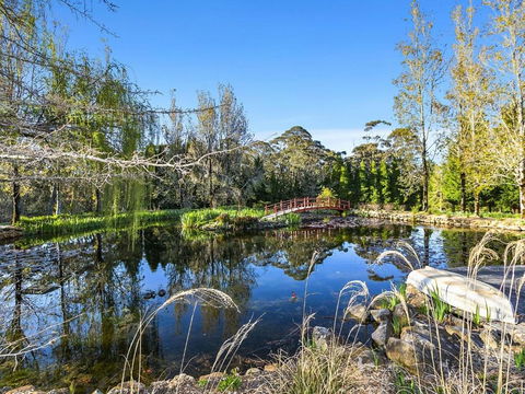 COOKS HOUSE - Surfers Paradise Gold Coast 5