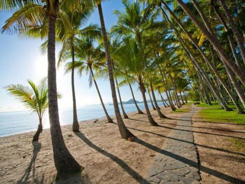 Paringa 8 Palm Cove - Surfers Paradise Gold Coast 3