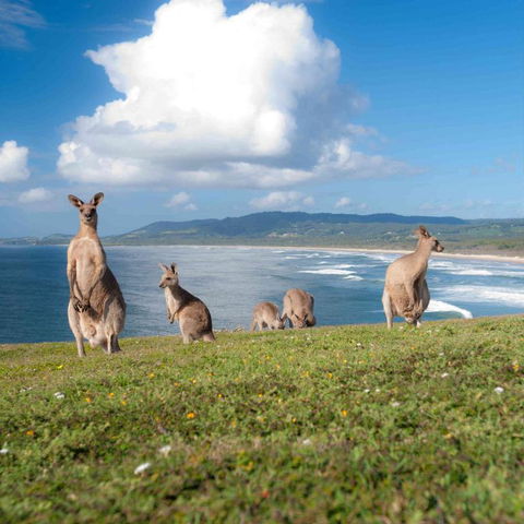 FAMILY ISLAND GETAWAY BEACHFRONT APARTMENT - Surfers Paradise Gold Coast 4