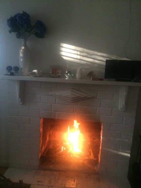 The Cute Beach House - Surfers Paradise Gold Coast 5