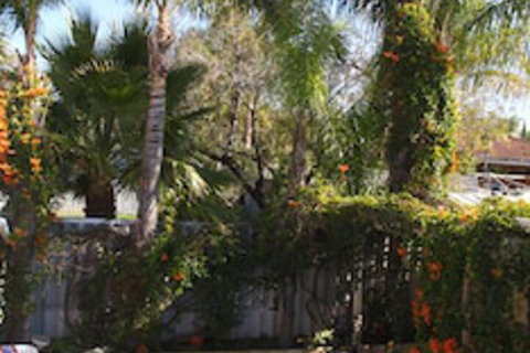 Astoria Retreat B&B - Surfers Paradise Gold Coast 6