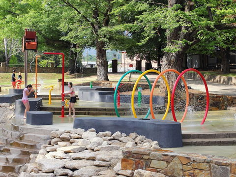 NRMA Bright Holiday Park - Surfers Paradise Gold Coast 4