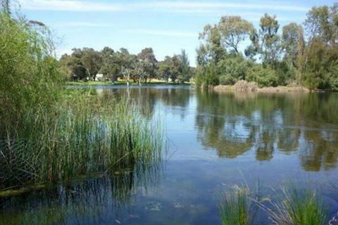 Como Waters Bed & Breakfast - Surfers Paradise Gold Coast 4