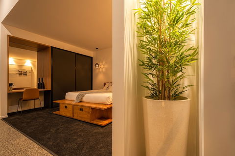 The Cove Tasmania - Surfers Paradise Gold Coast 5