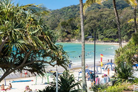 Fairshore 38 - Surfers Paradise Gold Coast 1