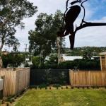 Willi Willi NSW Surfers Paradise Gold Coast