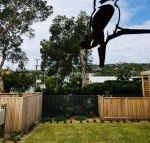 Pacific Terraces 2 38 Pacific Street - Surfers Paradise Gold Coast