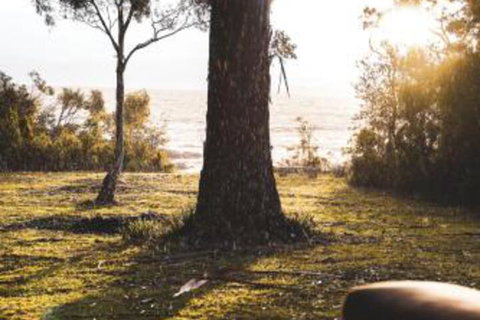 Seagrass On Sunset Bay - Surfers Paradise Gold Coast 1