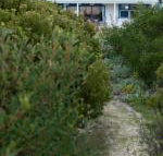 Polperro a quintessential seaside experience - Surfers Paradise Gold Coast