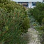 Polperro A Quintessential Seaside Experience - Surfers Paradise Gold Coast 0