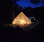 Glamping at Zeehan Bush Camp