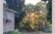 Stunning Queenslander - thumb 2