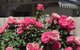 The Spa Cottage - thumb 6