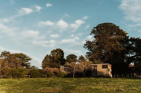 Bedervale Tiny - Surfers Paradise Gold Coast 6