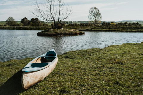 Bedervale Tiny - Surfers Paradise Gold Coast 3