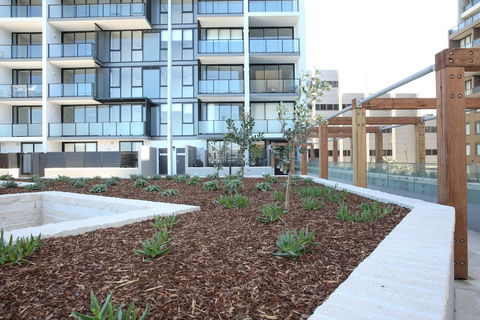 Arena On The Beach - Surfers Paradise Gold Coast 0