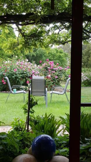 Wisteria Lodge - Surfers Paradise Gold Coast 5