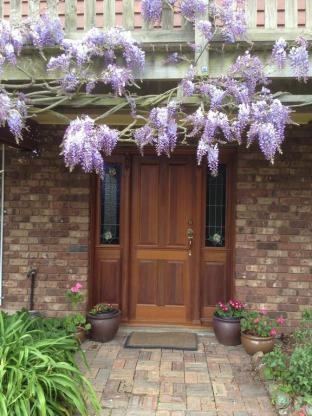 Wisteria Lodge - Surfers Paradise Gold Coast 1