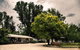 Mt Buffalo Caravan Park - thumb 3