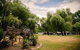 Mt Buffalo Caravan Park - thumb 1
