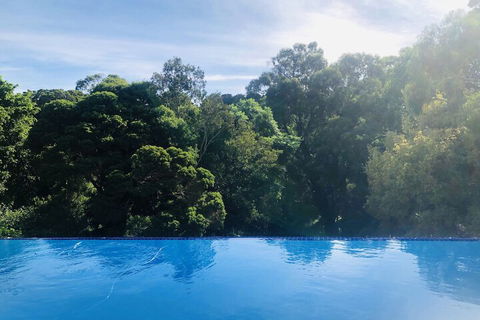 Lyndon Haven - Surfers Paradise Gold Coast 5