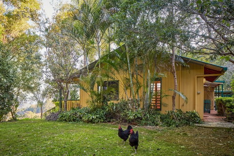 Dayboro Cottages & Llama Walks - Surfers Paradise Gold Coast 6