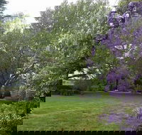 Petersons Armidale Winery  Guesthouse - Surfers Paradise Gold Coast