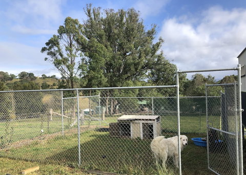 Bryn Glas Farm Stay - Surfers Paradise Gold Coast 3