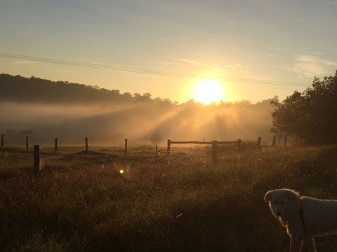 Bryn Glas Farm Stay - Surfers Paradise Gold Coast 2