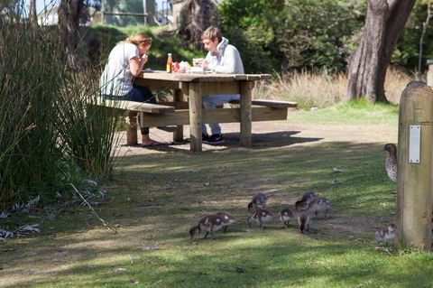Lorne Foreshore Caravan Park - Surfers Paradise Gold Coast 4