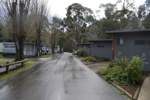 Lorne Foreshore Caravan Park - Surfers Paradise Gold Coast 5