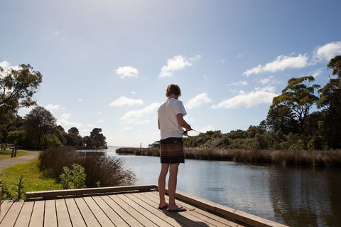 Lorne Foreshore Caravan Park - Surfers Paradise Gold Coast 1