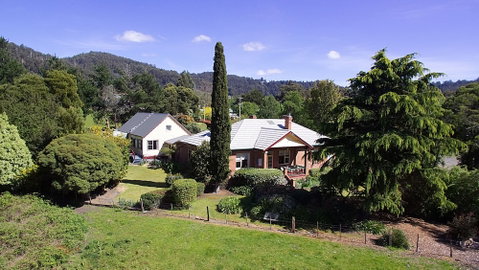 Donalea Bed & Breakfast - Surfers Paradise Gold Coast 3