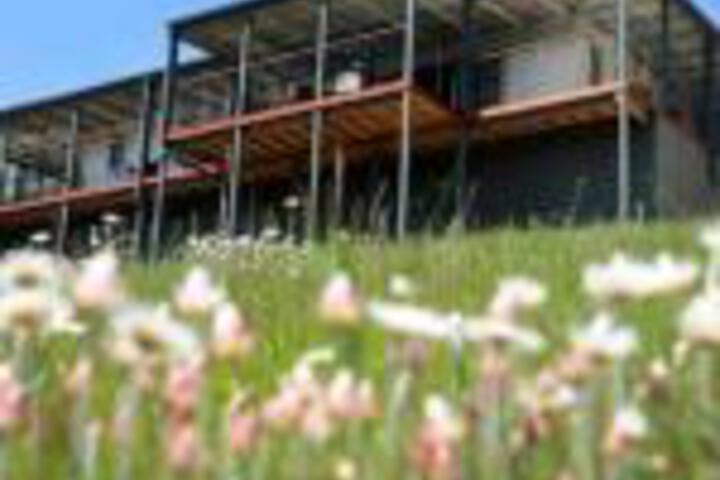 Abels Bay TAS Surfers Paradise Gold Coast