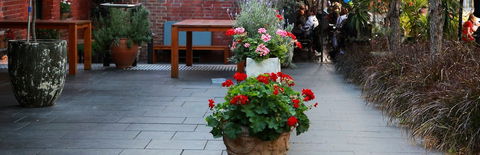 Sinclairs City Hostel - Surfers Paradise Gold Coast 6