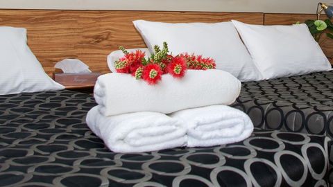 Aalbany Motel - Surfers Paradise Gold Coast 5