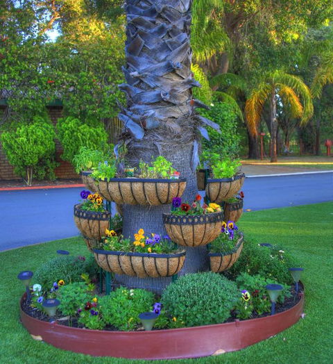 Mandurah Caravan & Tourist Park - Surfers Paradise Gold Coast 4