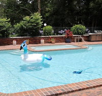 Mt Tamborine Motel - Surfers Paradise Gold Coast