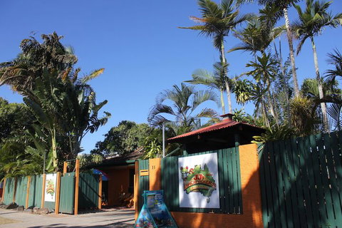 JJs Backpackers Hostel - Surfers Paradise Gold Coast 1